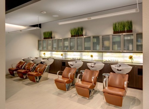 A row of brown salon chairs with white wash basins in front of a counter with cabinets, plants, and hair products in a modern salon setting. - Nuovo Salon Group in Sarasota & Bradenton, FL